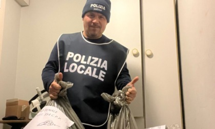 Sacchi neri abbandonati nel fosso, all'interno c'erano 15 kg di Marijuana