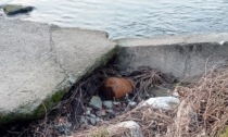 Ordigno sospetto lungo il fiume Oglio: in realtà era un boiler arrugginito