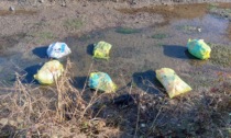 Il Fiume Oglio ridotto a una discarica abusiva