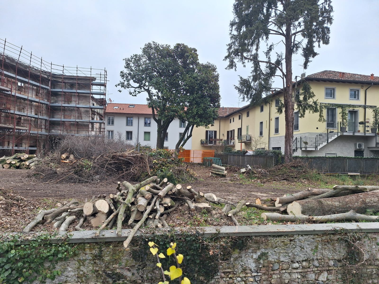 Martinengo Abbattuti alcuni degli alberi di villa Calvi