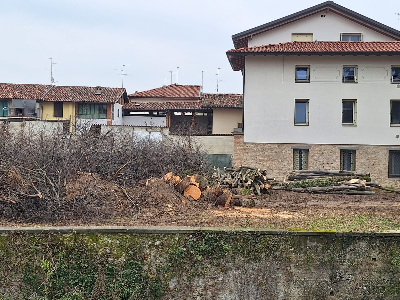 Martinengo Abbattuti alcuni degli alberi di villa Calvi