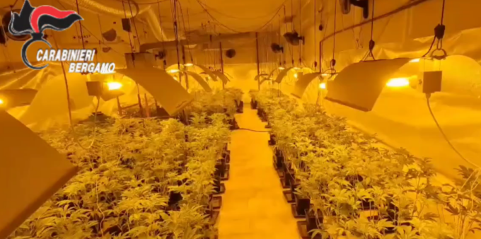 In casa avevano una serra clandestina e 30 chili di marijuana: arrestati due giovani