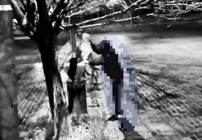 Abbandono rifiuti, nove responsabili individuati dalle foto trappole