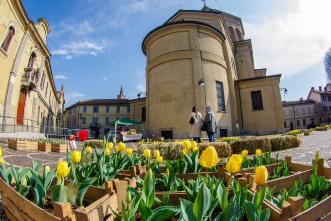 Questo weekend “quindicipertiche” riporta i “Tulipani in piazza”