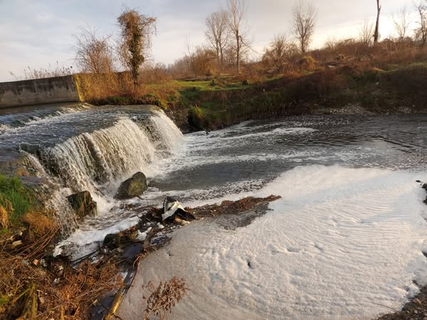 Acque nere, schiuma e cattivi odori nel canale Gronda Sud