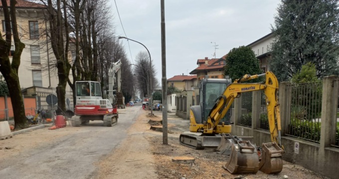 Treviglio, abbattuti gli alberi per costruire  la nuova ciclabile