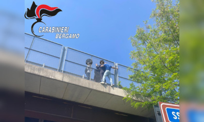 Carabiniere fuori servizio salva una donna che voleva gettarsi dal cavalcavia