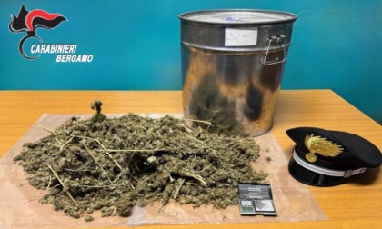 Intervengono per una lite in condominio, ma in casa gli trovano la marijuana: arrestato 56enne