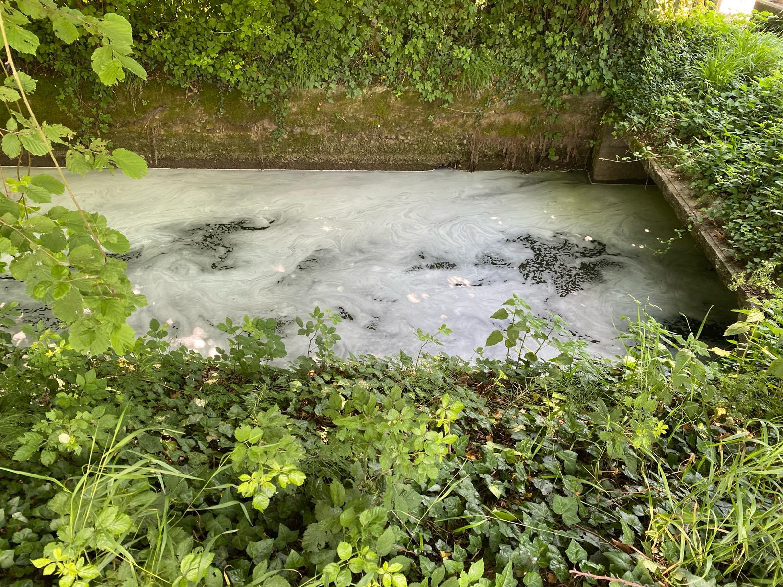 Treviglio Geromina schiuma nella roggia