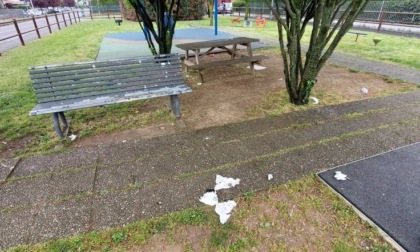 Rifiuti, schiamazzi e maleducazione al parco, la rabbia dei residenti