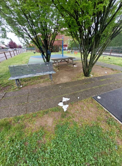 Rifiuti, schiamazzi e maleducazione al parco, la rabbia dei residenti