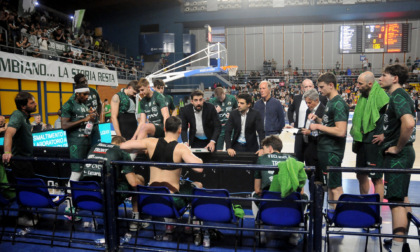 Quarti playoff per la Tav Treviglio Brianza terzo atto della serie a Jesi