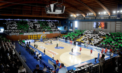 Secondo atto di semifinale tra Tav Treviglio Brianza e Fabo Herons Montecatini