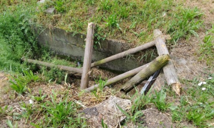Orti urbani di via Gavazzeni: da isola felice a terra di nessuno