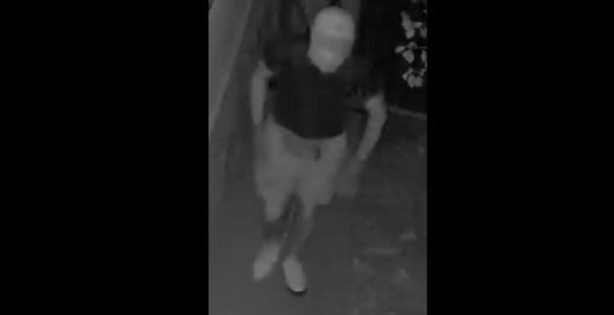 Ladri in azione a Basella, villette nel mirino