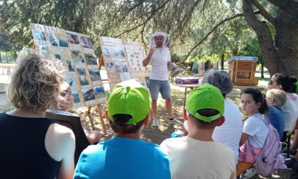 L'apicoltura chiude con successo il progetto "Viviamo il verde"