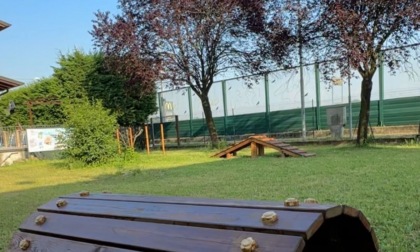 Nuova Area Cani ad Antegnate: il patto vincente tra Comune e Aldog