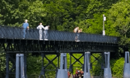Addestramento e prevenzione lungo l'Adda, volontari all'opera a lato e dentro il fiume