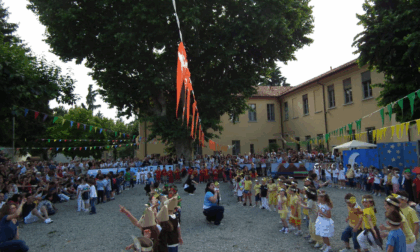 Il Platano del "Carcano" diventa albero monumentale