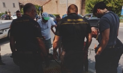 Pannelli isolanti gettati nella roggia: cantine allagate e irrigazione bloccata