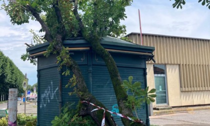 Maltempo: interventi tempestivi della Protezione Civile a Romano