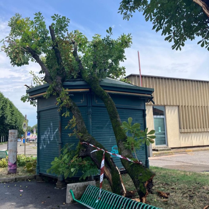 Maltempo: interventi tempestivi della Protezione Civile a Romano