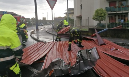 Allarme maltempo, alberi abbattuti e tetti danneggiati