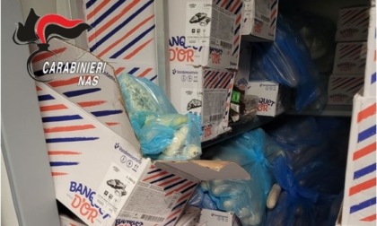 I Nas chiudono minimarket di Romano di Lombardia, congelatore "da incubo"