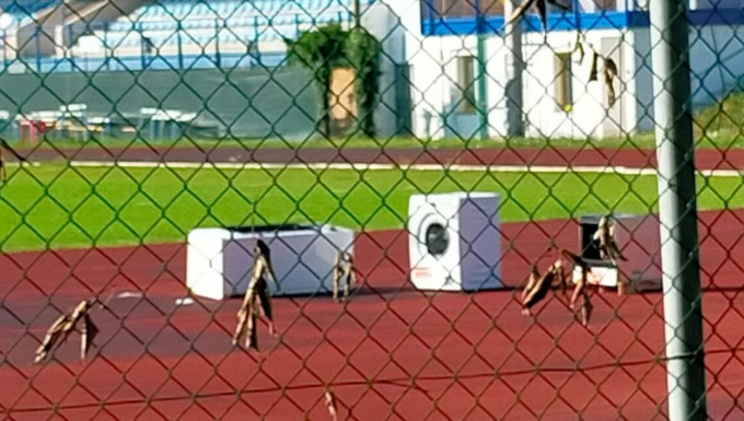 Elettrodomestici in fuga: chi vincerà la medaglia d’oro?