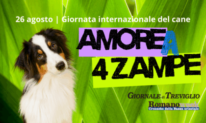 "Amore a 4 zampe", manda una foto e festeggia con noi la Giornata internazionale del cane