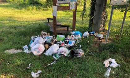 Inciviltà e degrado lungo le rive del fiume Oglio: volontari ripuliscono