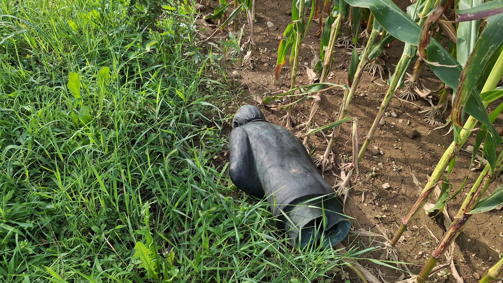 Tentato furto al cimitero di Caravaggio