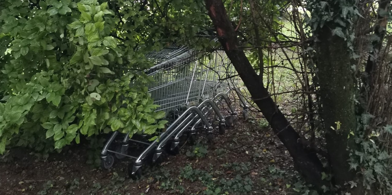 Bosco delle Magnolie: tra degrado e abusi, spunta una fila di carrelli del supermercato