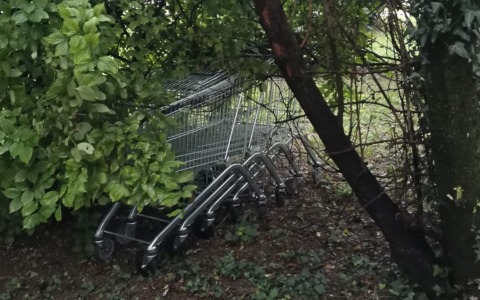 Bosco delle Magnolie: tra degrado e abusi, spunta una fila di carrelli del supermercato