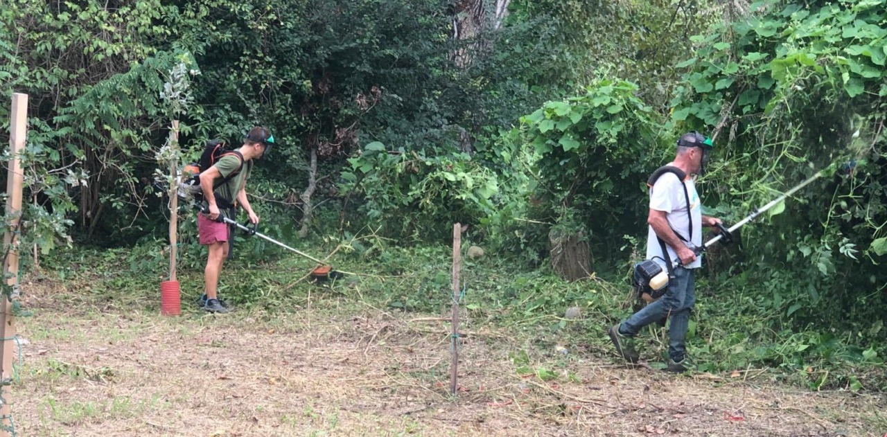 Oglio, i volontari del Gelso in campo, di nuovo, contro l’inciviltà