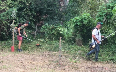 Oglio, i volontari del Gelso in campo, di nuovo, contro l’inciviltà