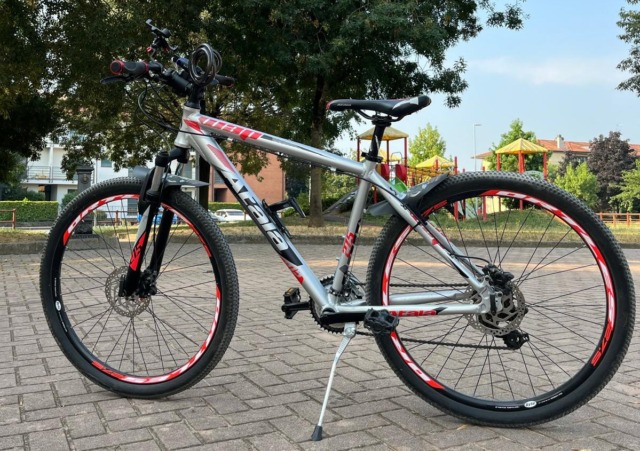 Ladri di biciclette denunciati grazie alle telecamere