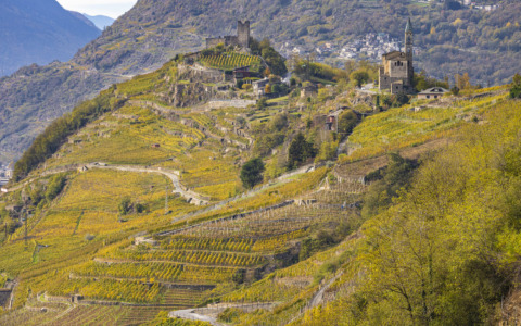 “Calcinate per il Benessere” alla riscoperta del legame tra territorio, salute e qualità della vita