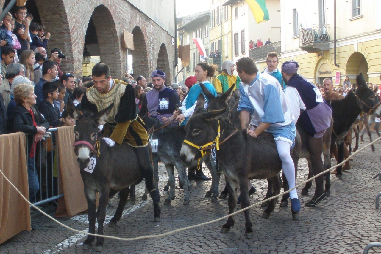 Protesta animalista, annullato il Palio degli asini, gli organizzatori: “Ricevute minacce”. “No, solo diffide”