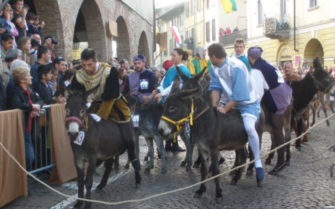 Protesta animalista, annullato il Palio degli asini, gli organizzatori: “Ricevute minacce”. “No, solo diffide”