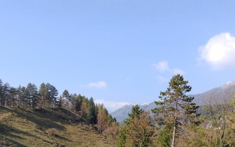 Alla scoperta della Val Seriana in e-bike: un viaggio tra natura, storia e sapori