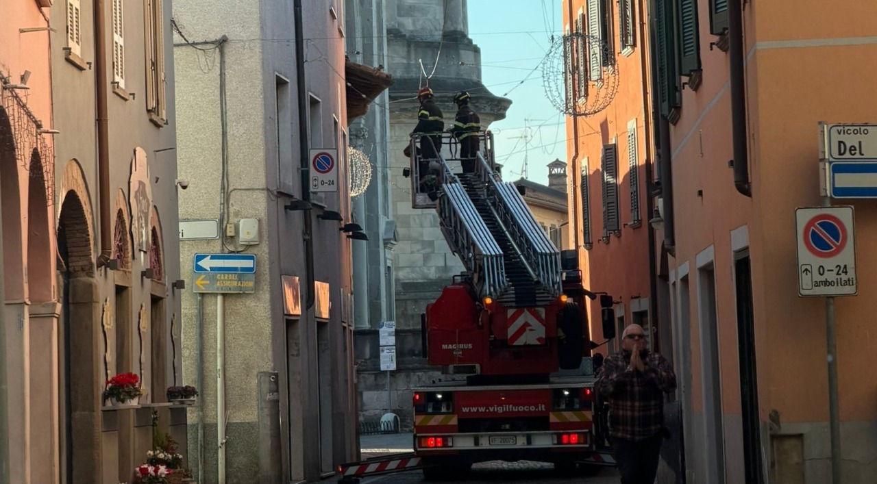 Piccione incastrato nei cavi delle luminarie salvato dai pompieri