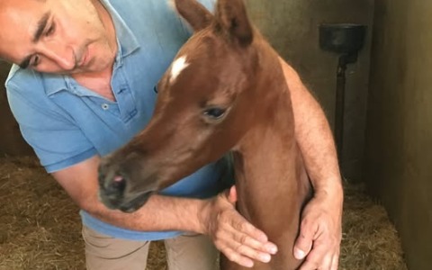 Domani i funerali di Oscar Angioletti: “Un gran lavoratore innamorato dei cavalli”