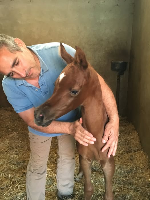 Domani i funerali di Oscar Angioletti: “Un gran lavoratore innamorato dei cavalli”