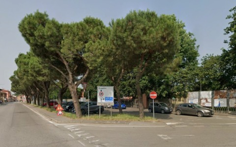 Pini marittimi a rischio abbattimento, il sindaco: “Una scelta necessaria per la sicurezza”