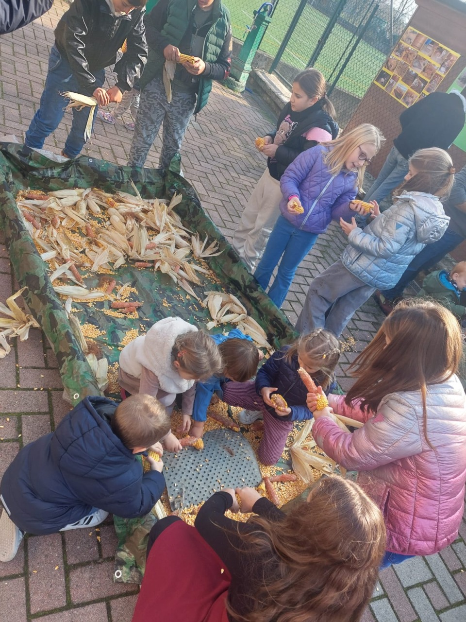 Festa del Ringraziamento