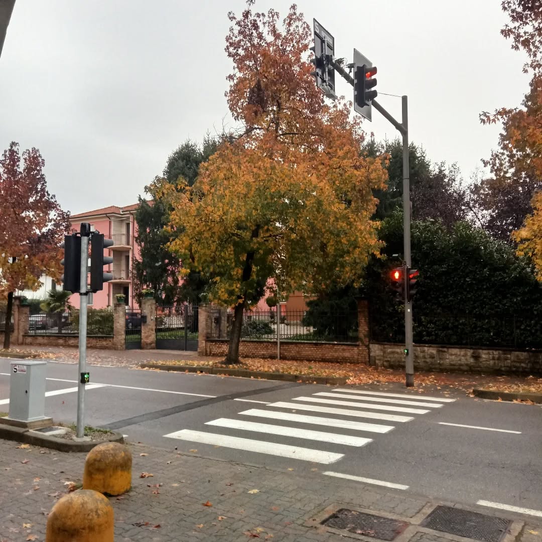 Viabilità e sicurezza, le nuove disposizioni dell’Amministrazione comunale