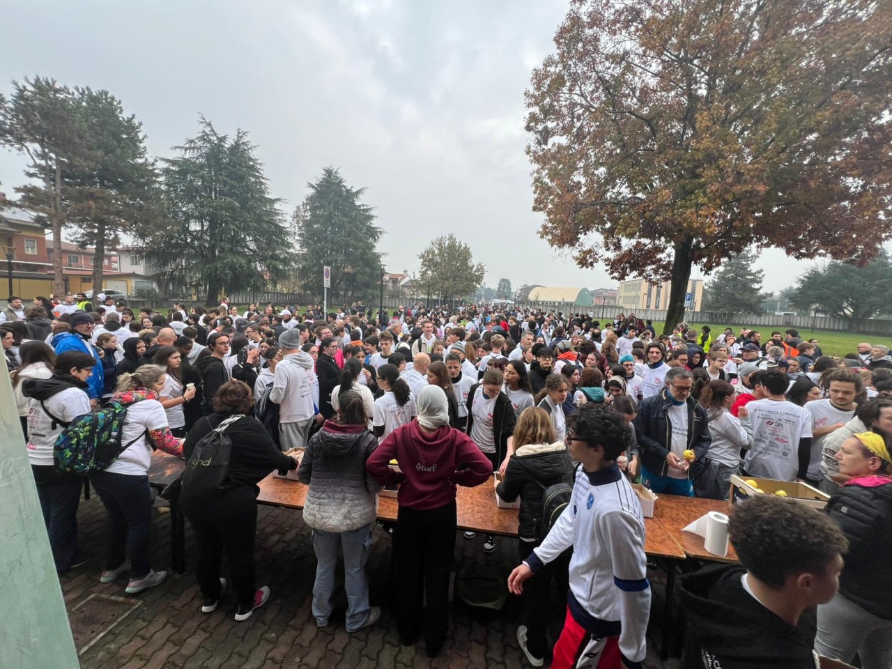Ennesimo successo per la “Straliceo”, la campestre cittadina organizzata dal Galilei di Caravaggio