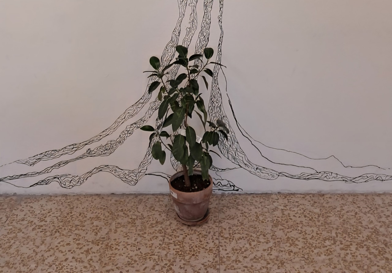 La talea dell’albero di Giovanni Falcone metterà radici alla scuola «Grossi»