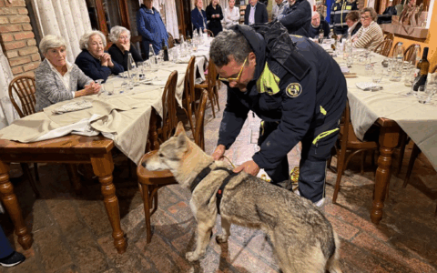Cani molecolari in azione: una serata spettacolare con le unità cinofile da ricerca